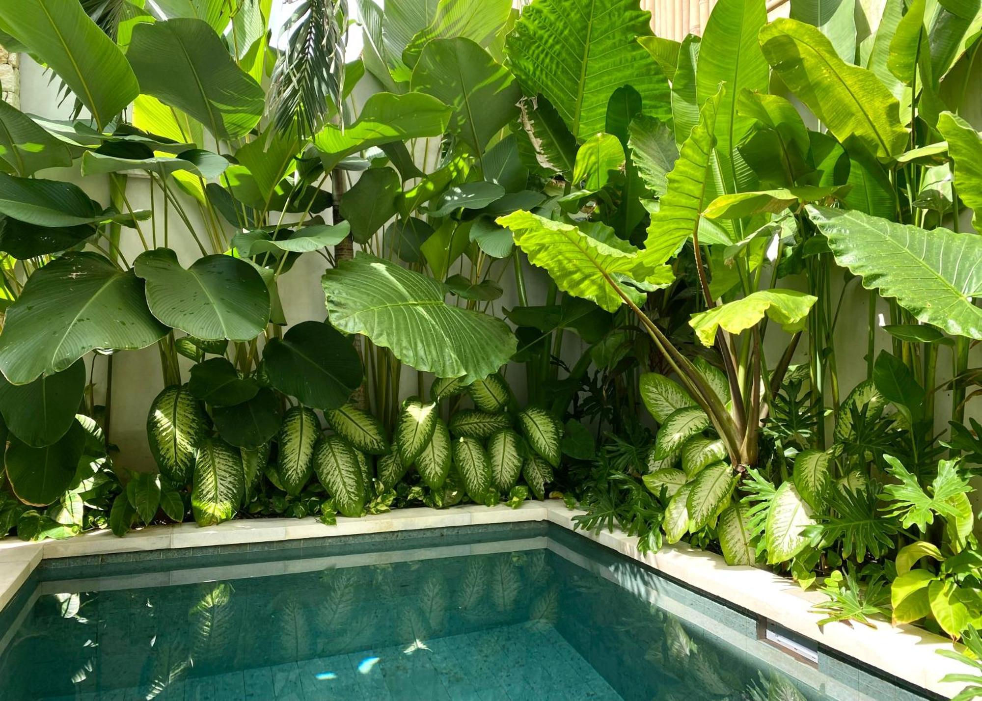 Alma Bingin Boutique Hotel Uluwatu Dış mekan fotoğraf